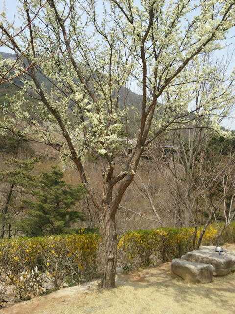 1993993040_4d16bbf5_2011-04-10_12_42_06.jpg